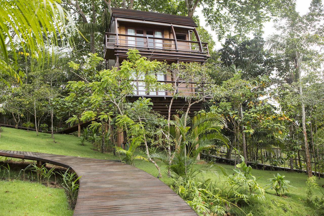 Mirante Do Gaviao Amazon Lodge Novo Airao Exterior photo